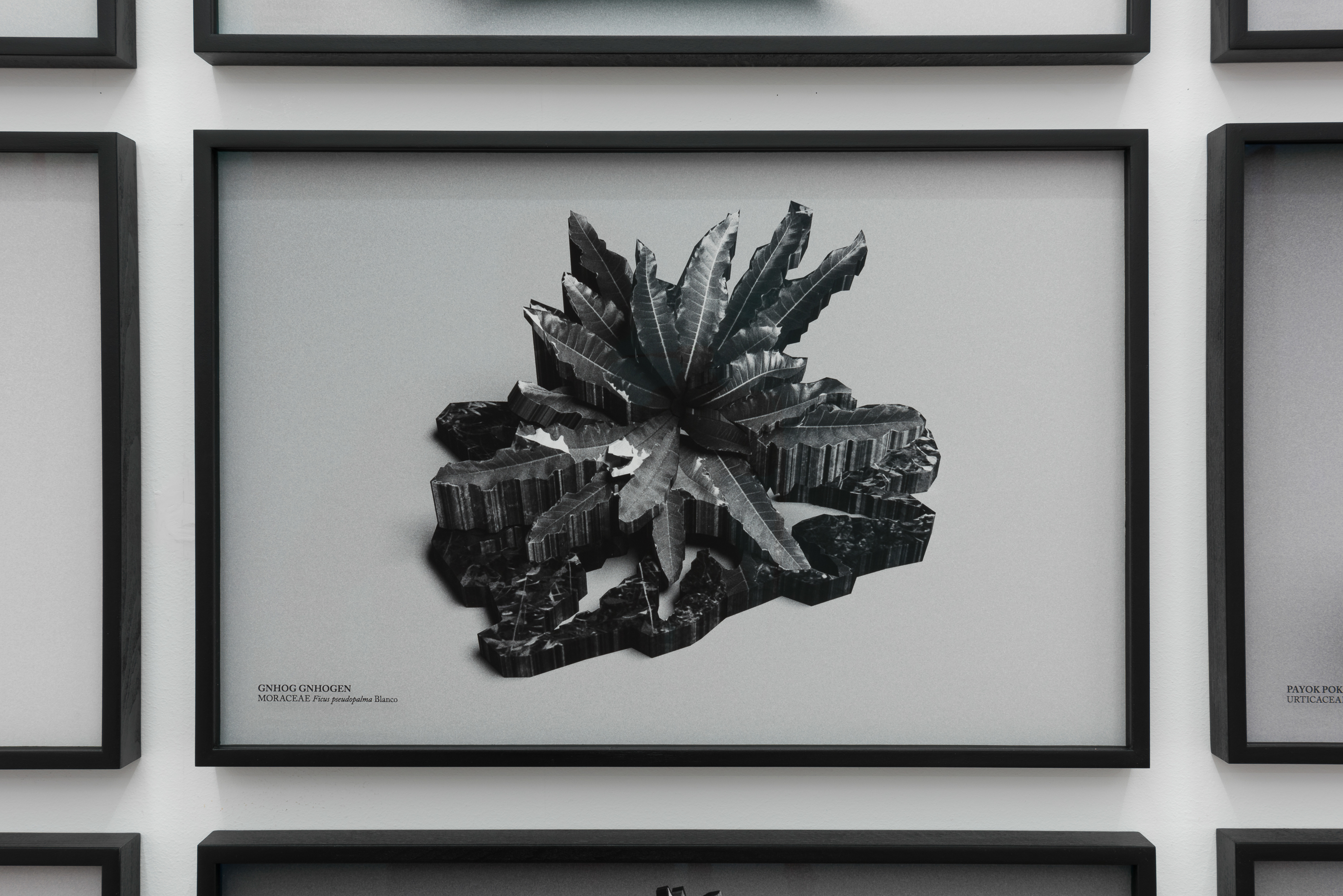 Parra & Romero, exhibition: Unrest (fig. 12)