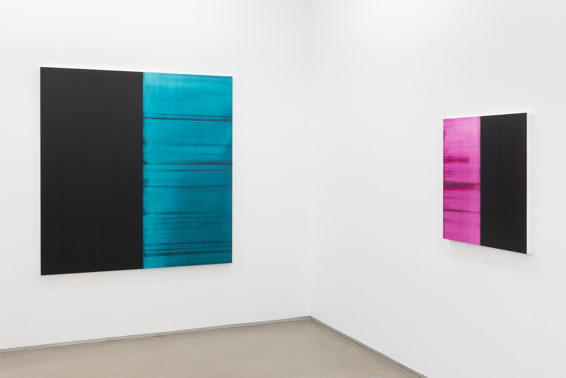 Parra & Romero, exhibition: Callum Innes (fig. 19)