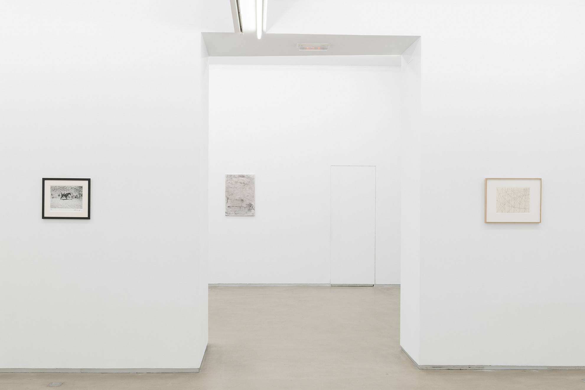 Parra & Romero, exhibition: Basics on Composition / Informal Multitudes (fig. 35)