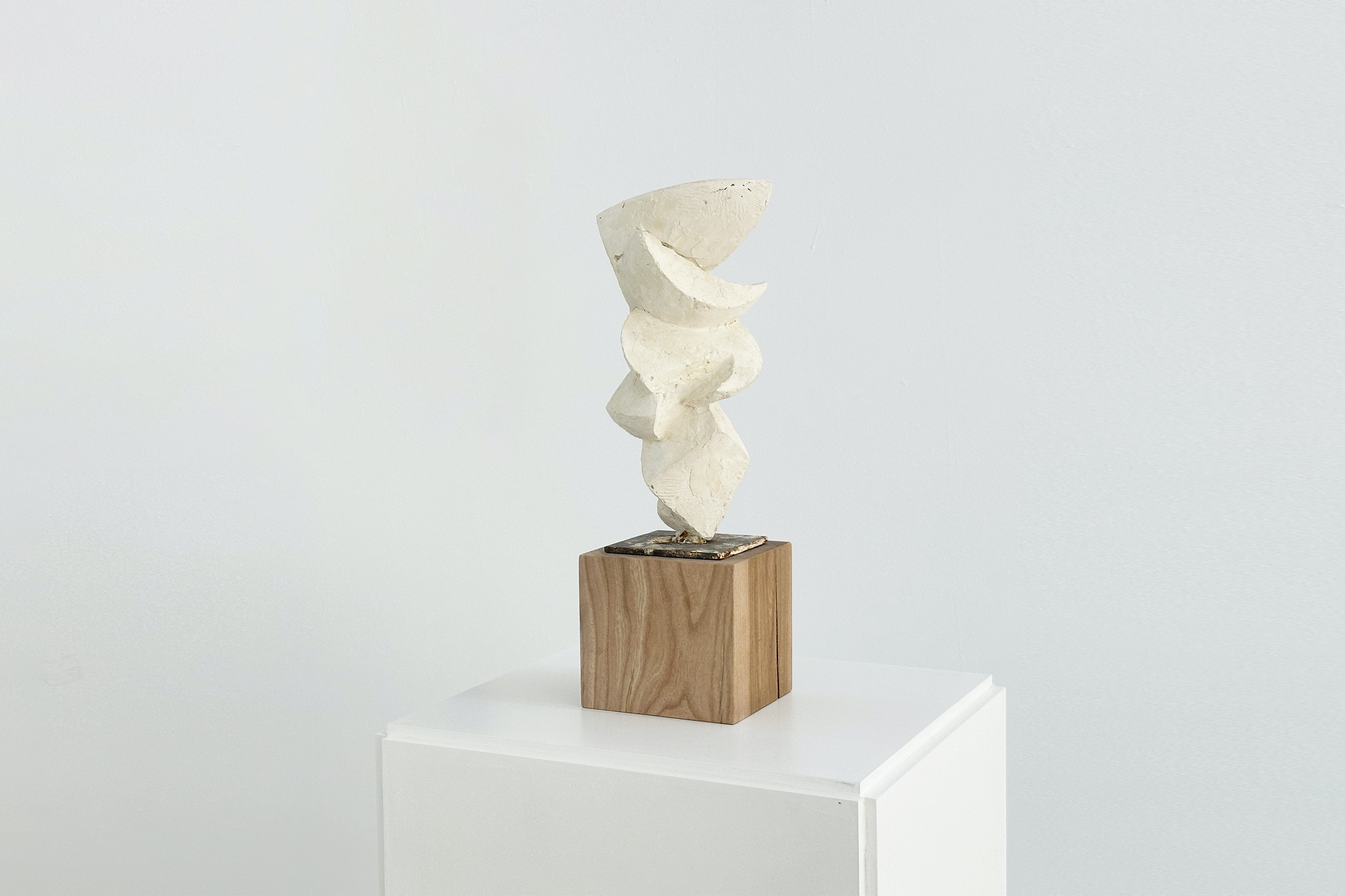 Parra & Romero, exhibition: Blowing in the wind (fig. 21)