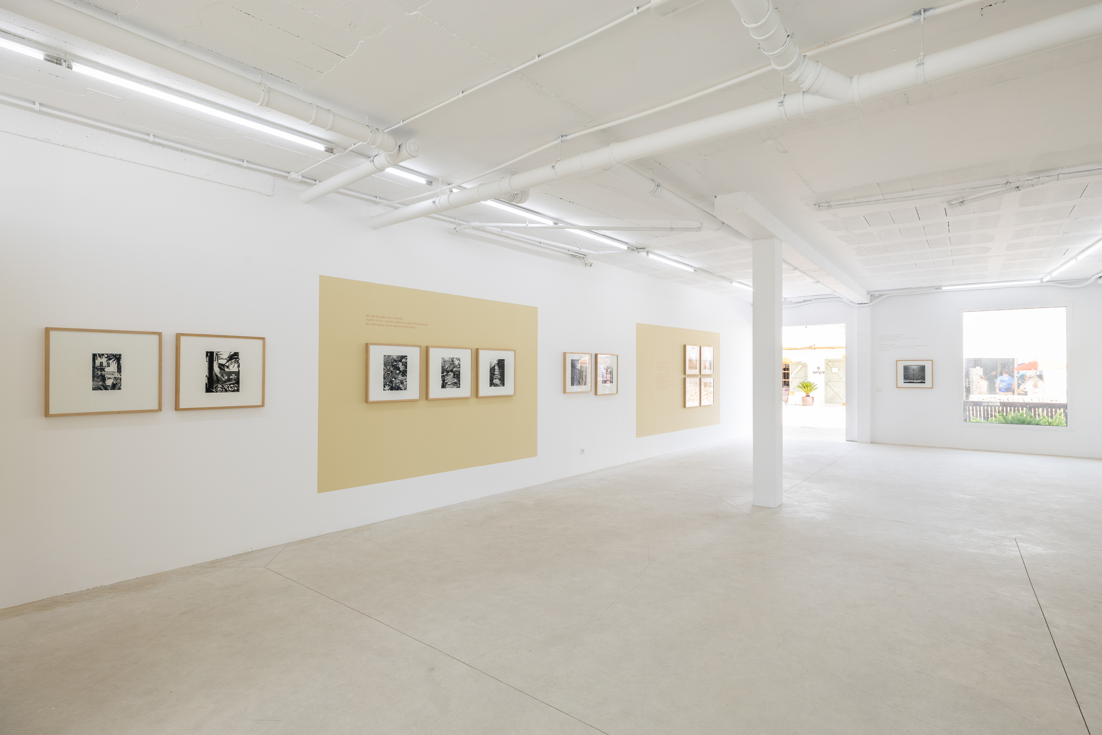 Parra & Romero, exhibition: OSSI DI SEPPIA (fig. 8)