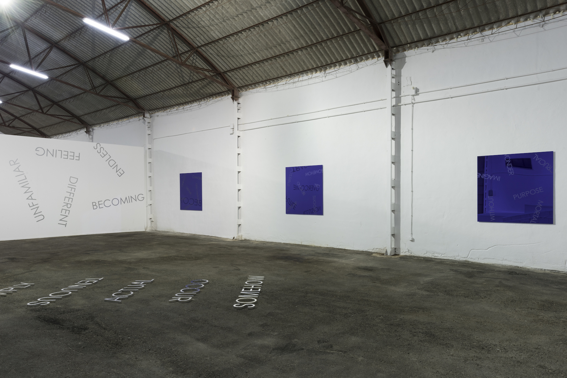 Parra & Romero, exhibition: Reflections (fig. 34)