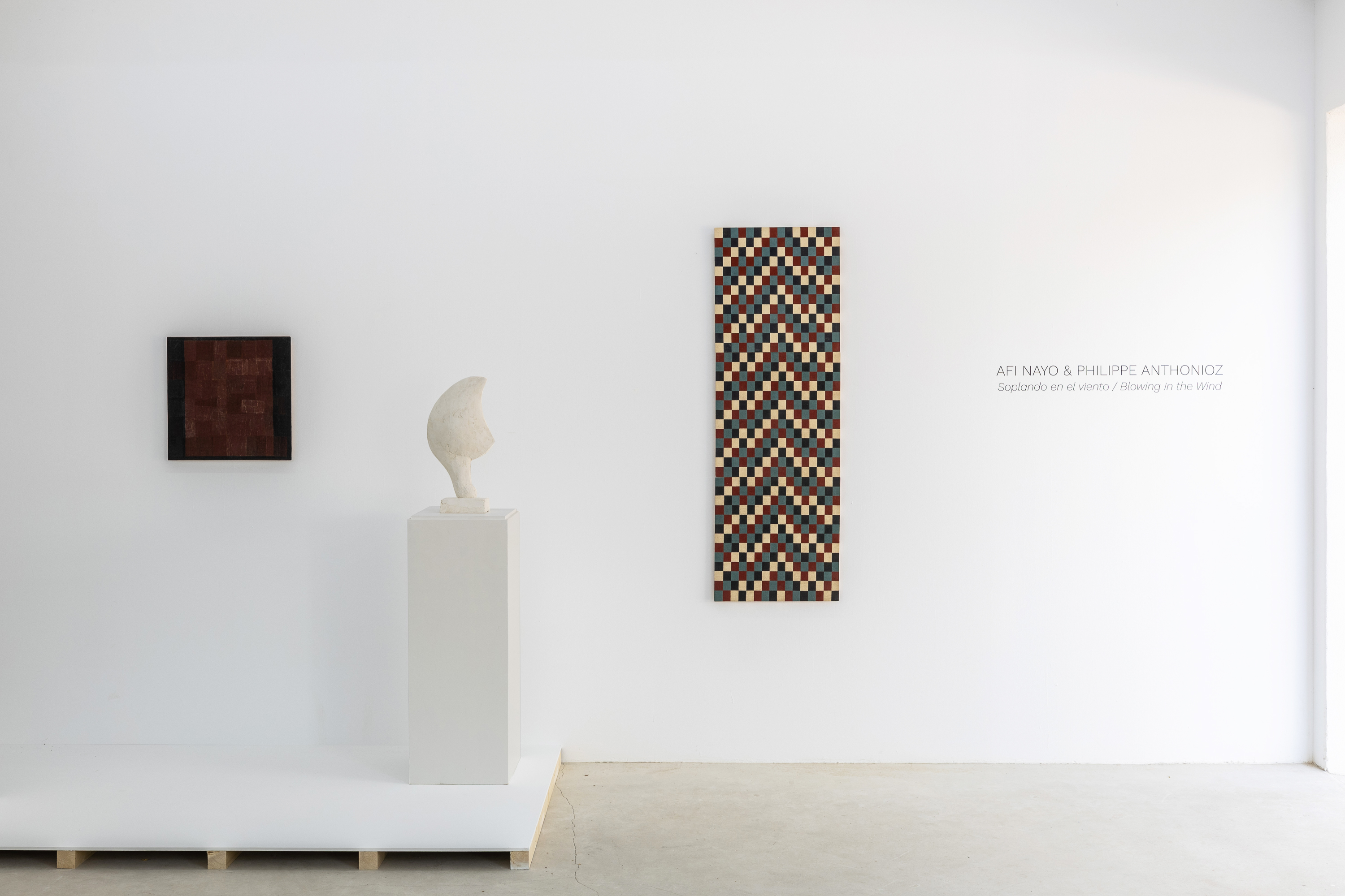 Parra & Romero, exhibition: Blowing in the wind (fig. 12)