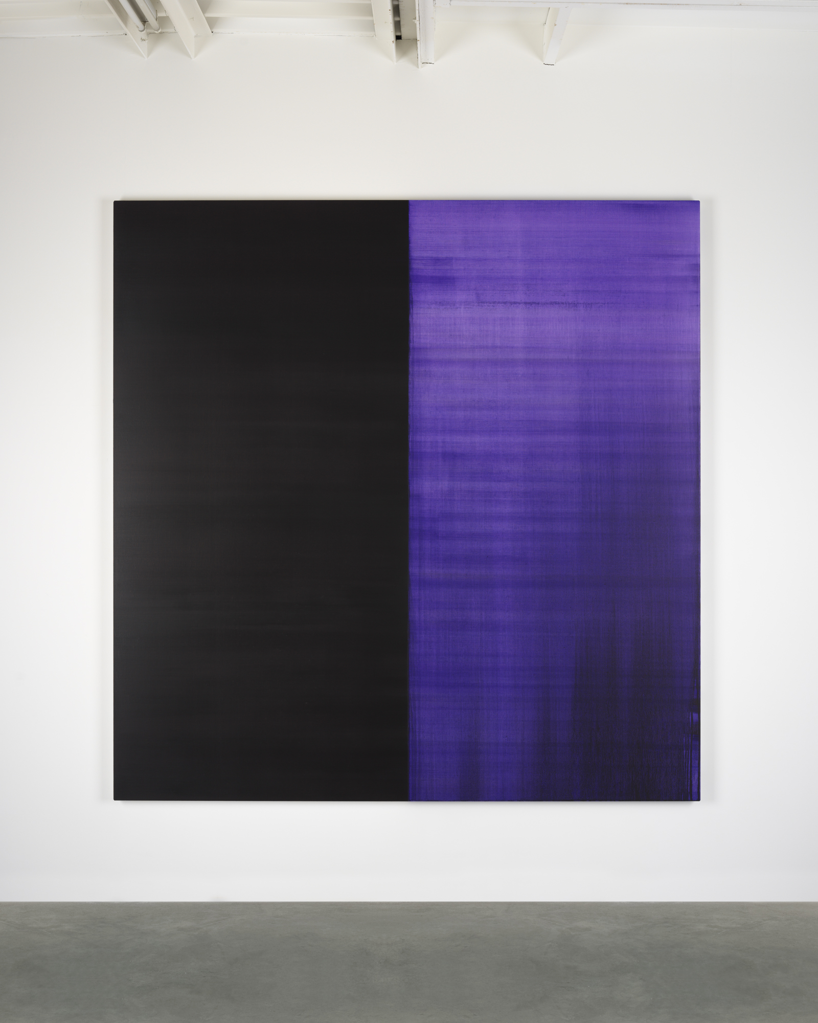Parra & Romero, exhibition: Callum Innes (fig. 12)