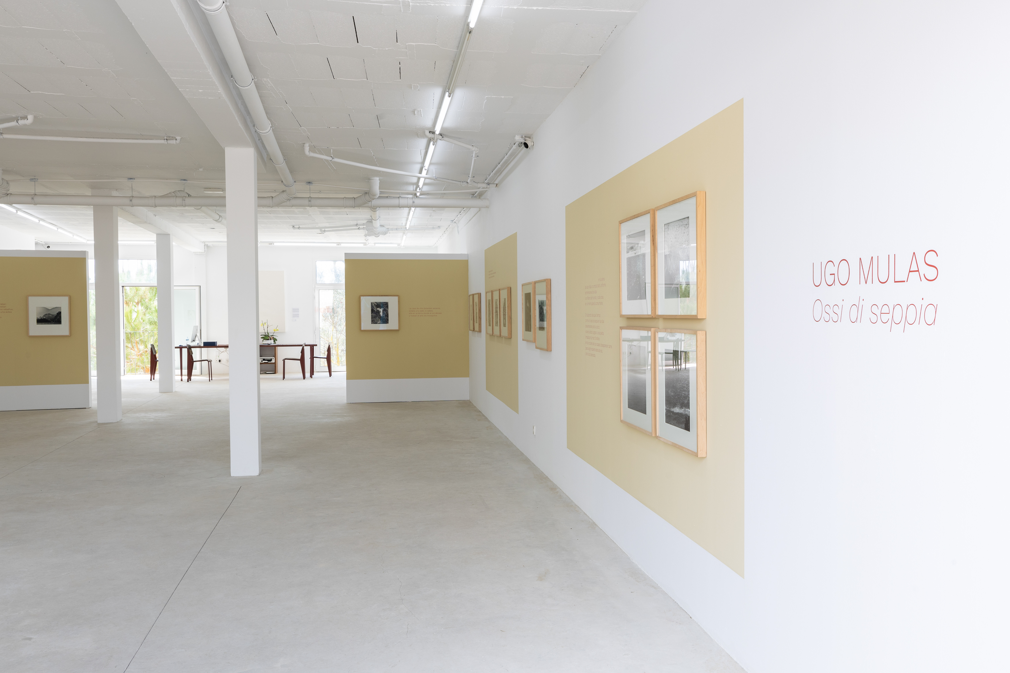 Parra & Romero, exhibition: OSSI DI SEPPIA (fig. 16)