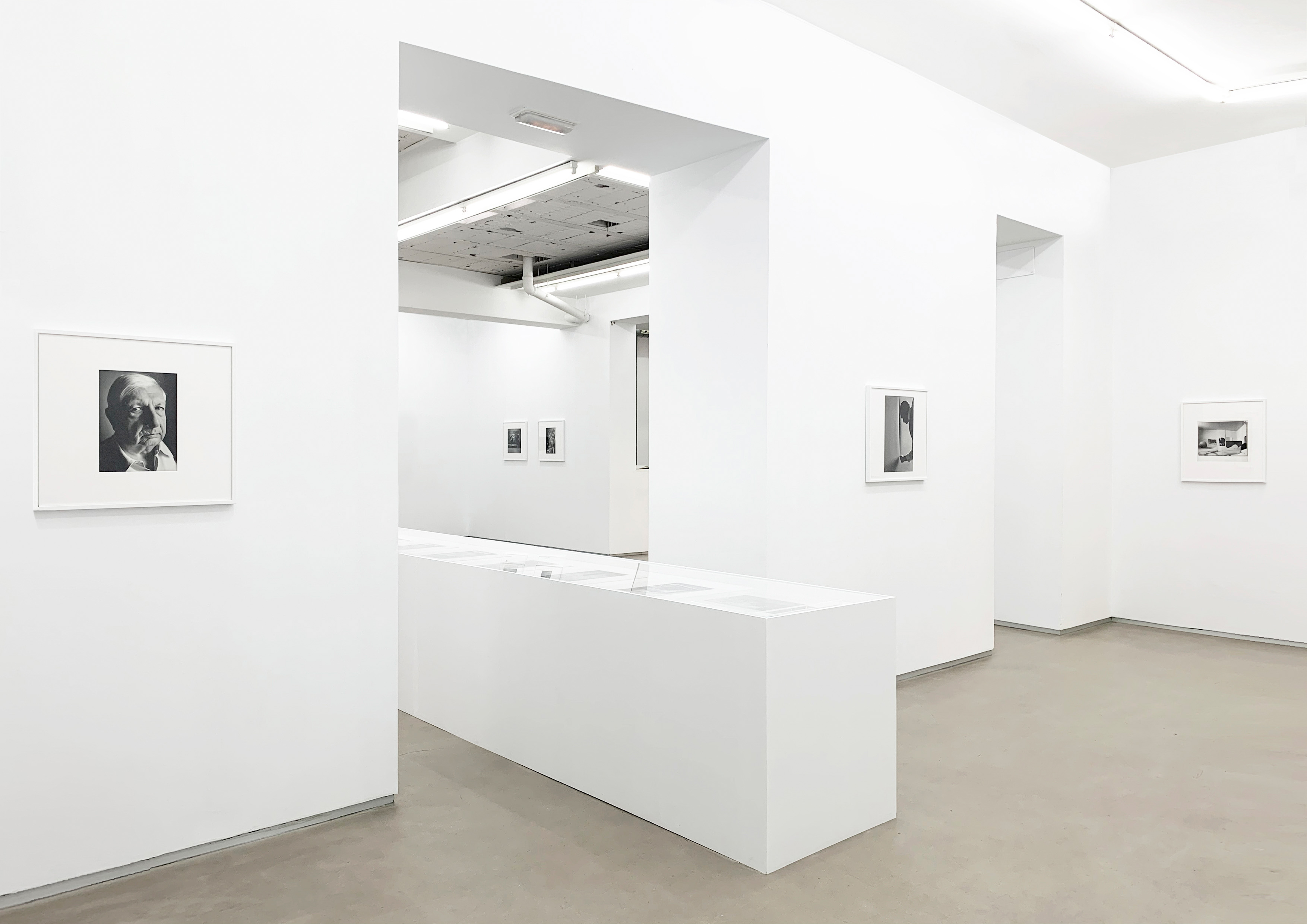 Parra & Romero, exhibition: Portraits (fig. 3)