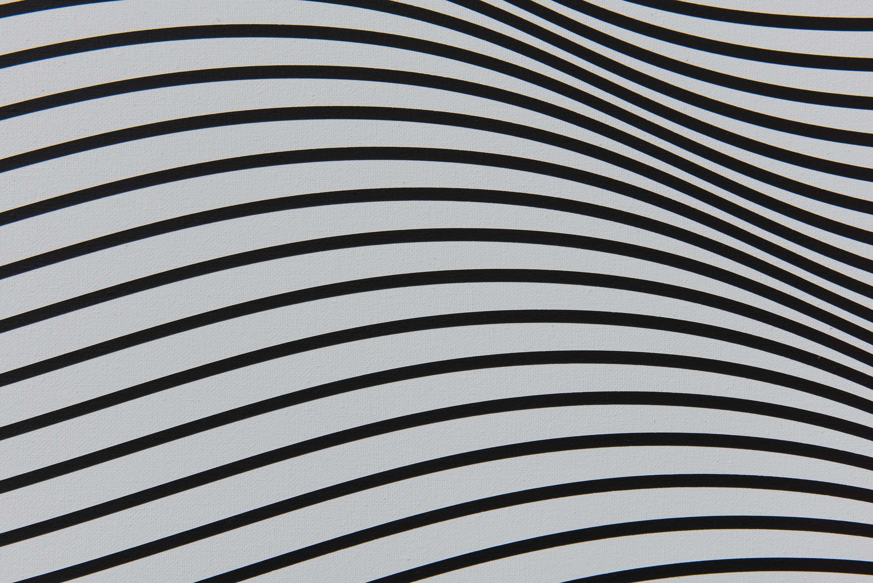 Parra & Romero, exhibition: Anisotropy (fig. 34)