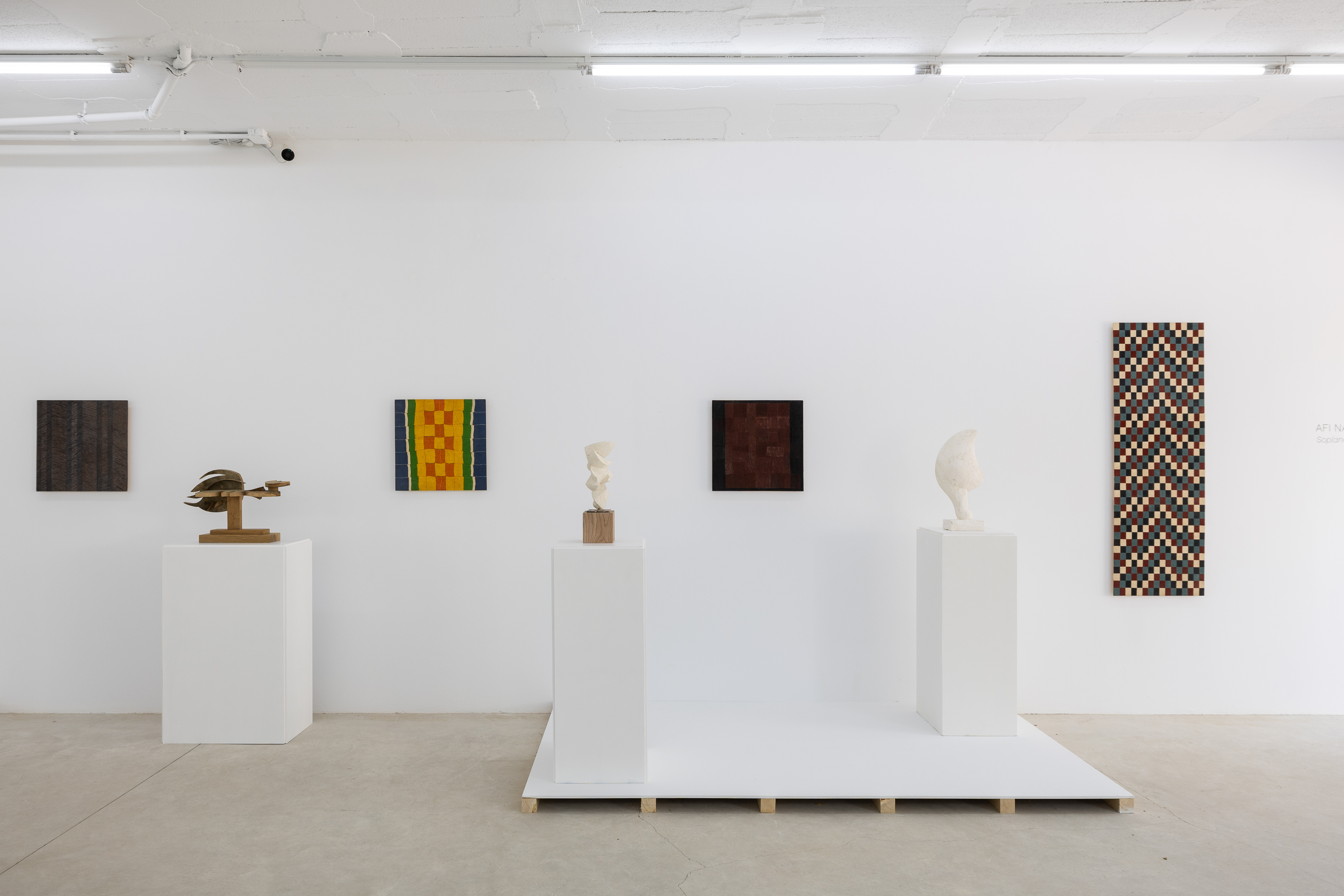 Parra & Romero, exhibition: Blowing in the wind (fig. 18)