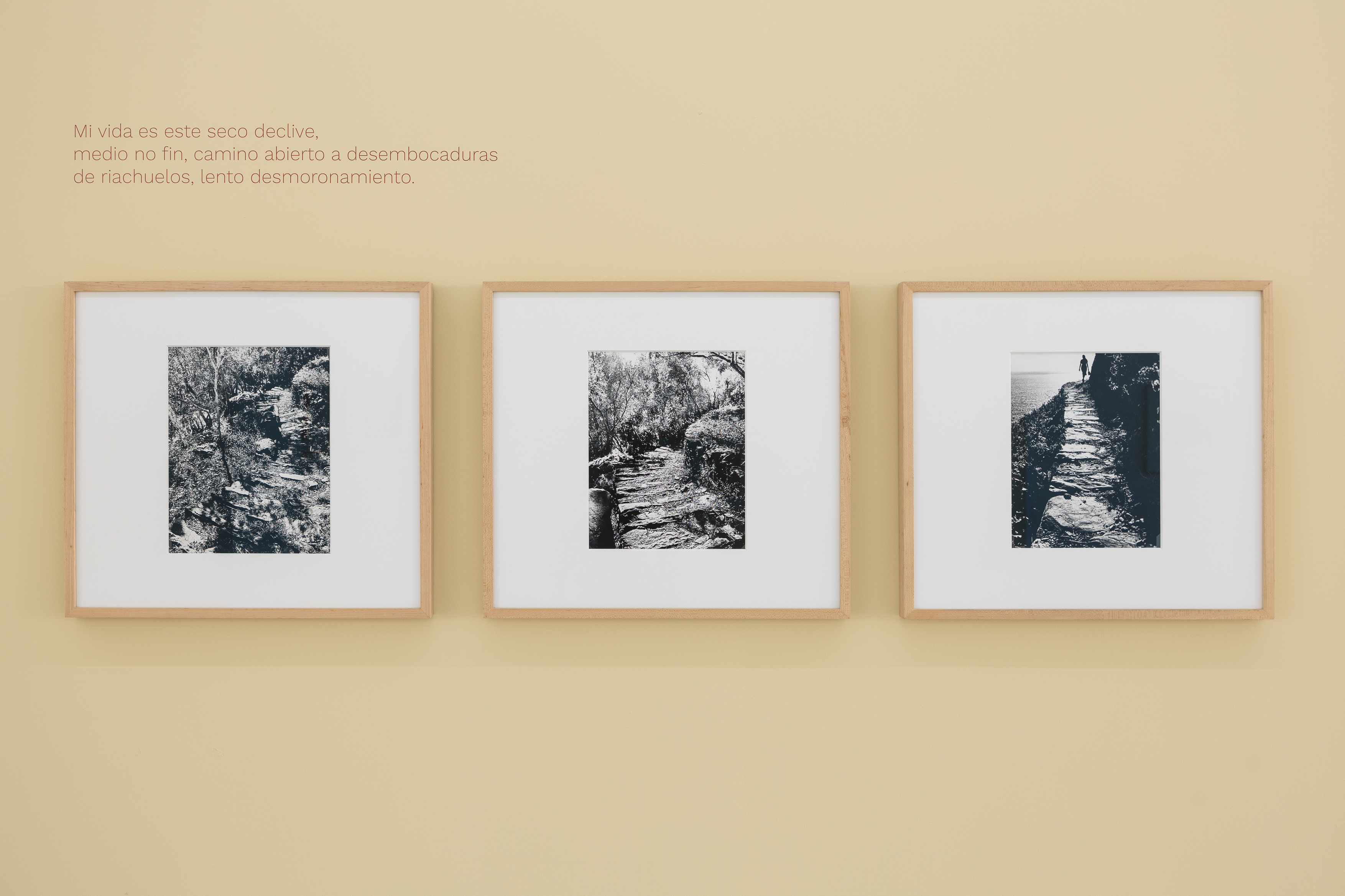 Parra & Romero, exhibition: OSSI DI SEPPIA (fig. 2)