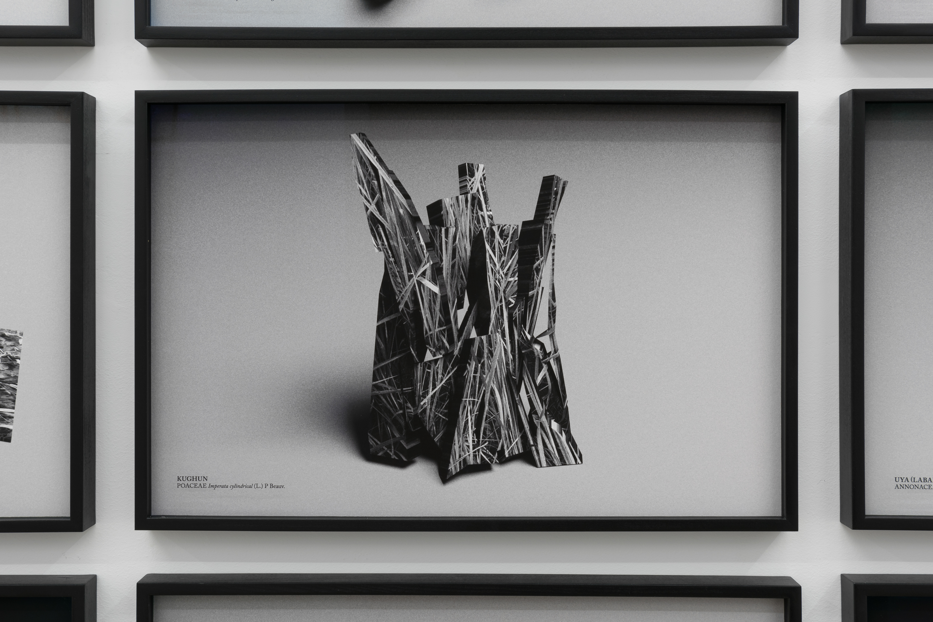 Parra & Romero, exhibition: Unrest (fig. 15)