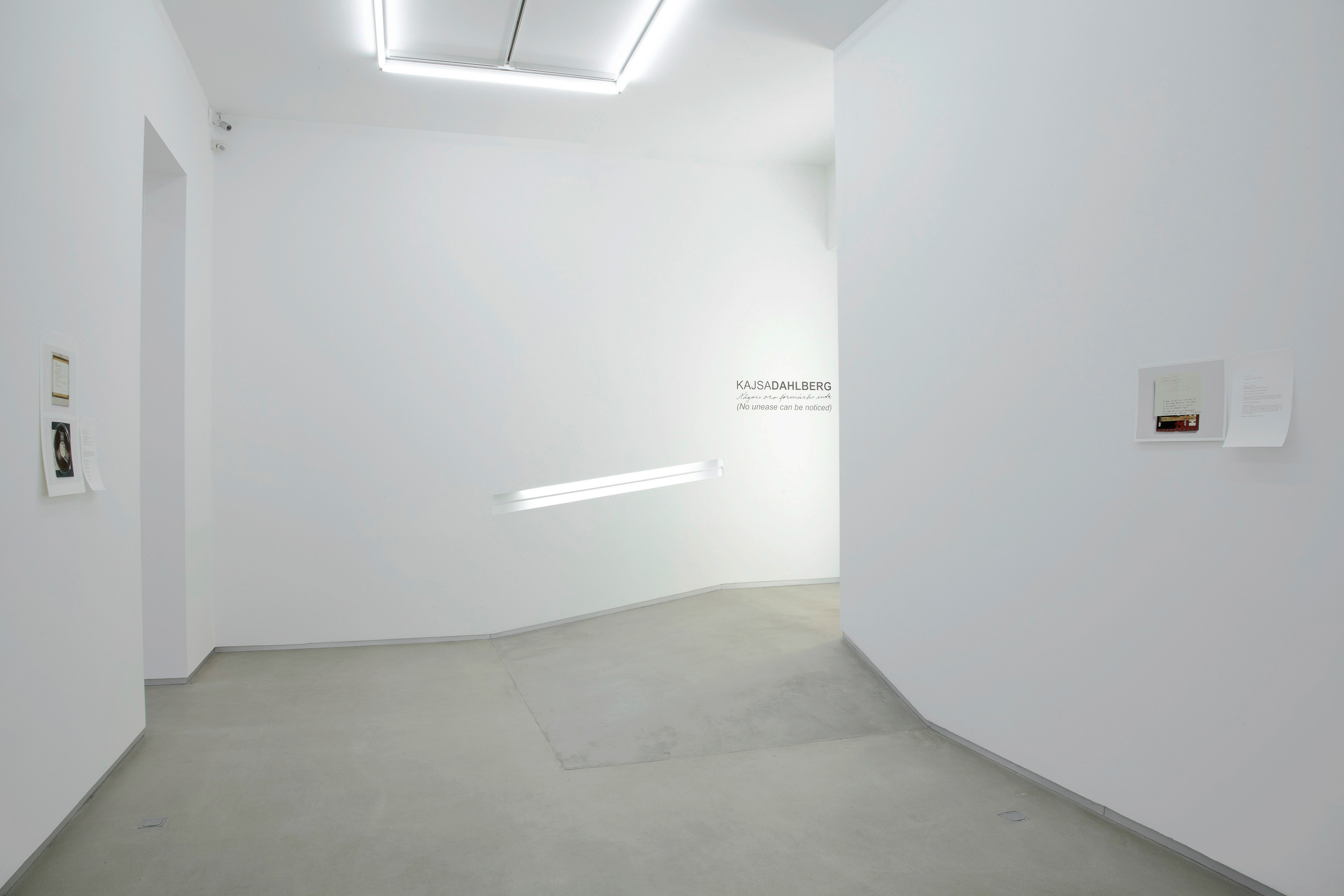 Parra & Romero, exhibition: (No unease can be noticed) (fig. 1)