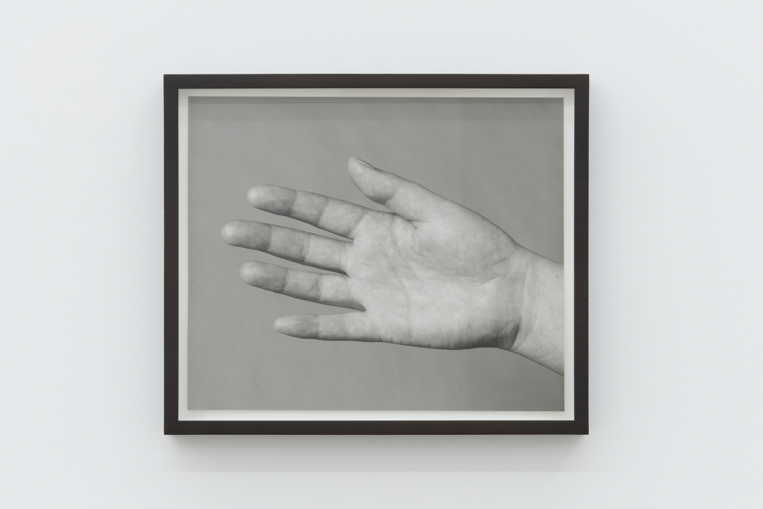 Parra & Romero, exhibition: Otros ejemplos recientes (fig. 27)