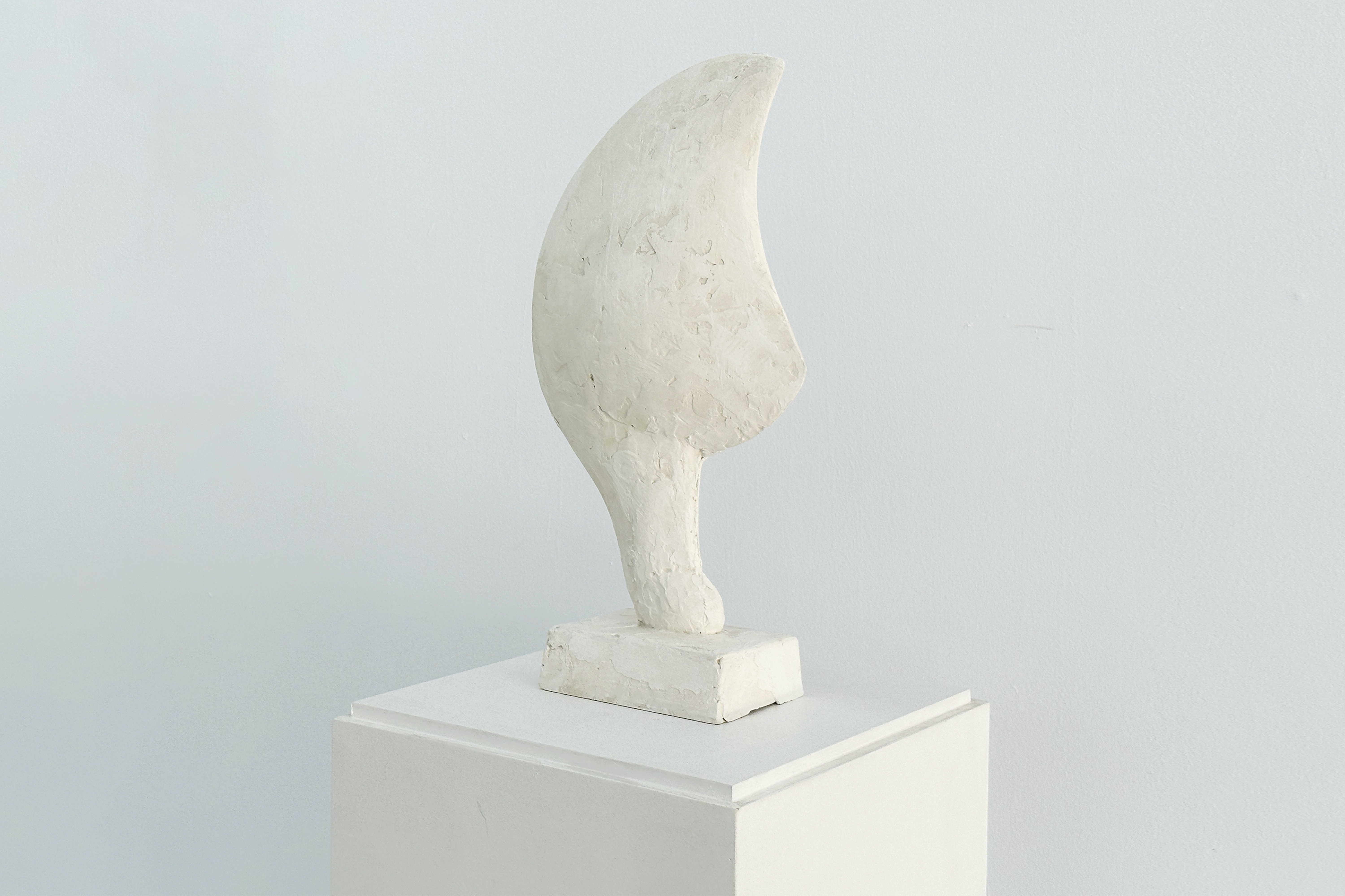 Parra & Romero, exhibition: Blowing in the wind (fig. 17)