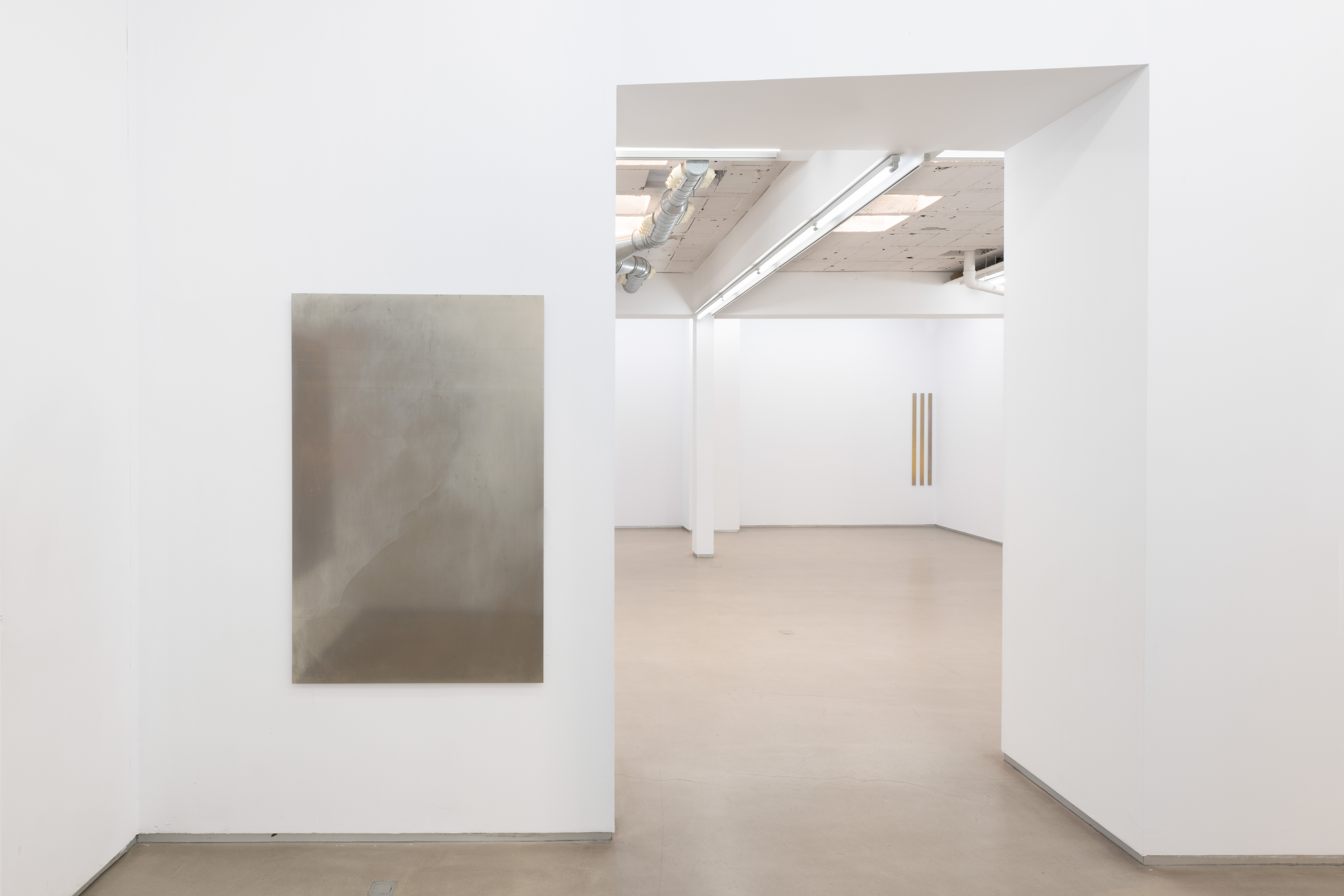 Parra & Romero, exhibition: Liz Deschenes (fig. 12)