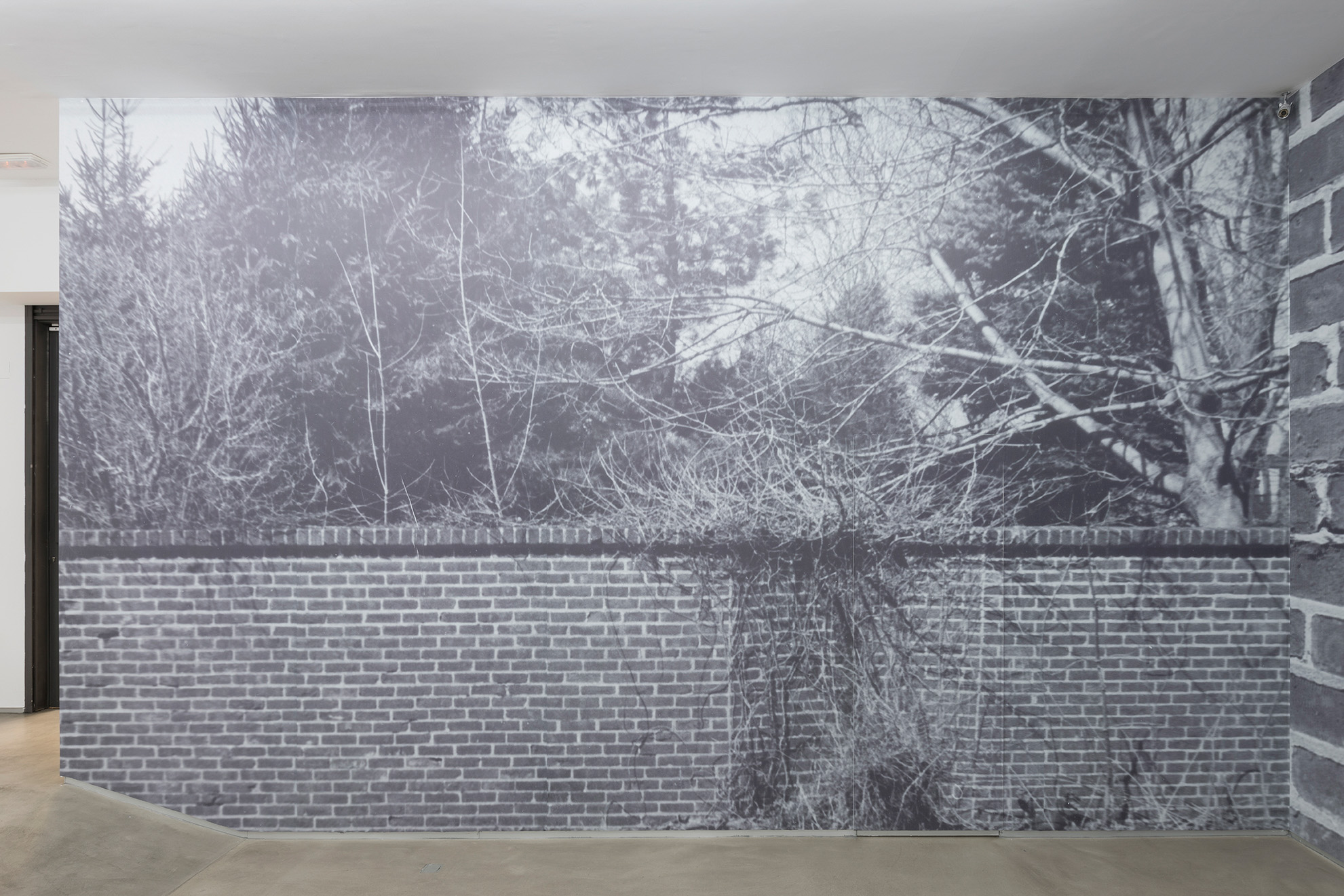 Parra & Romero, exhibition: 1968-2018 (fig. 7)