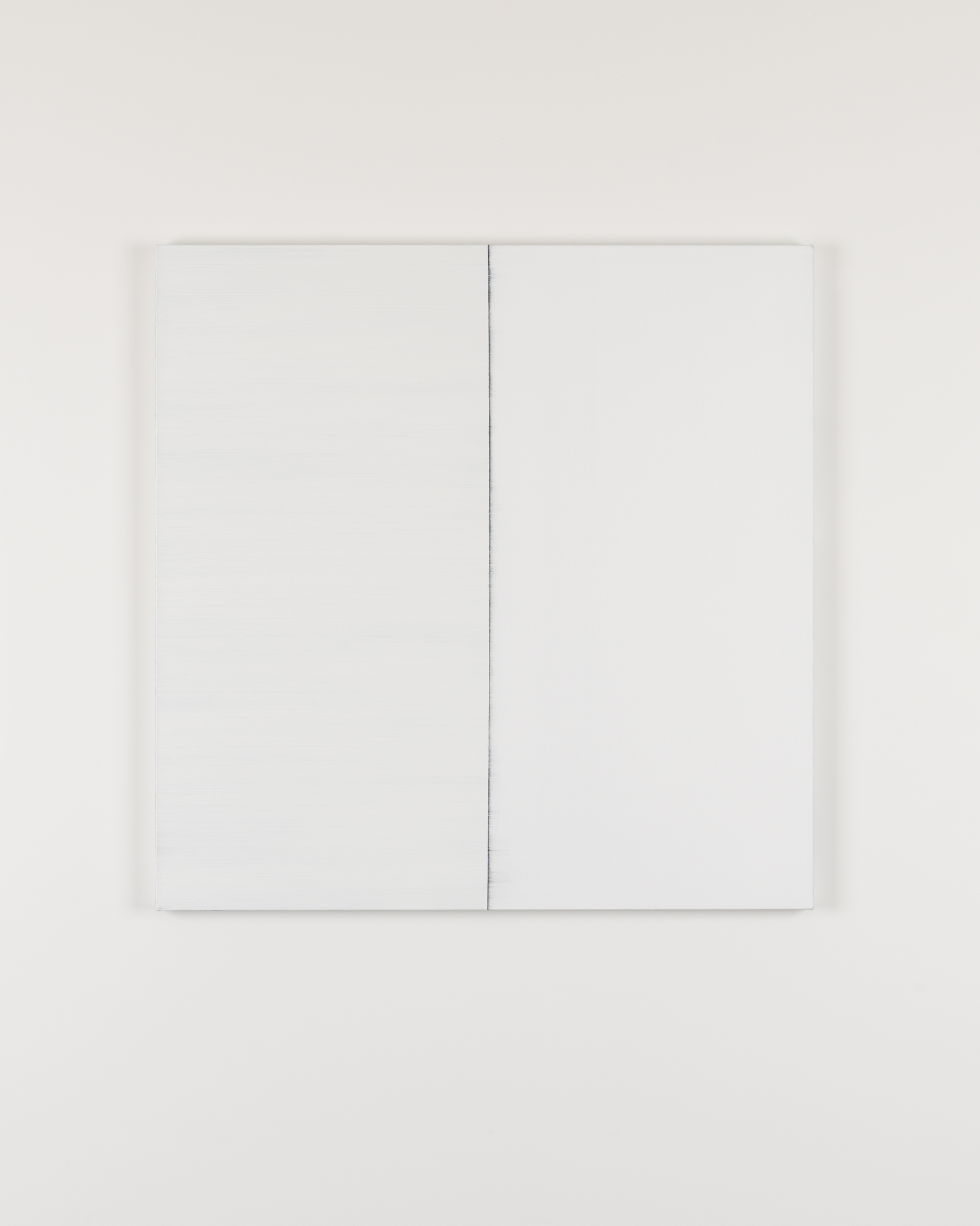 Parra & Romero, exhibition: Callum Innes (fig. 13)