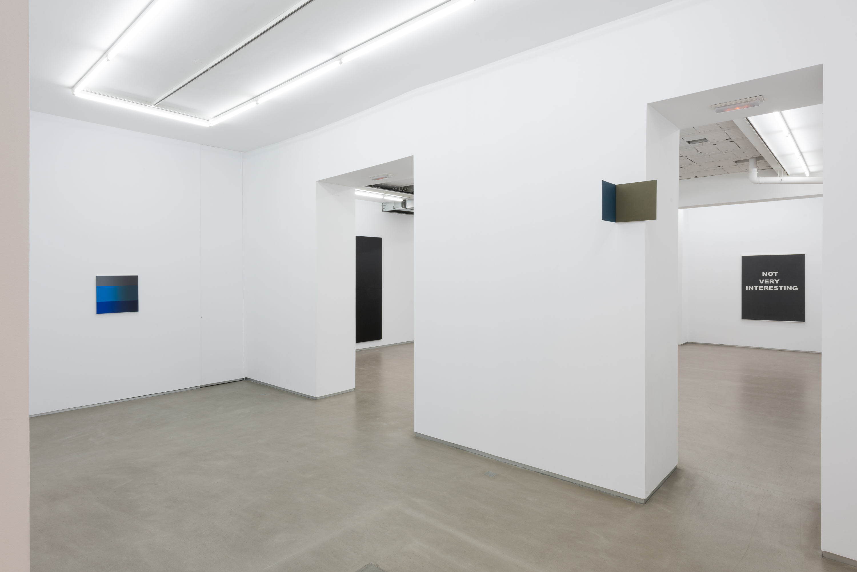 Parra & Romero, exhibition: Accrochage (fig. 13)