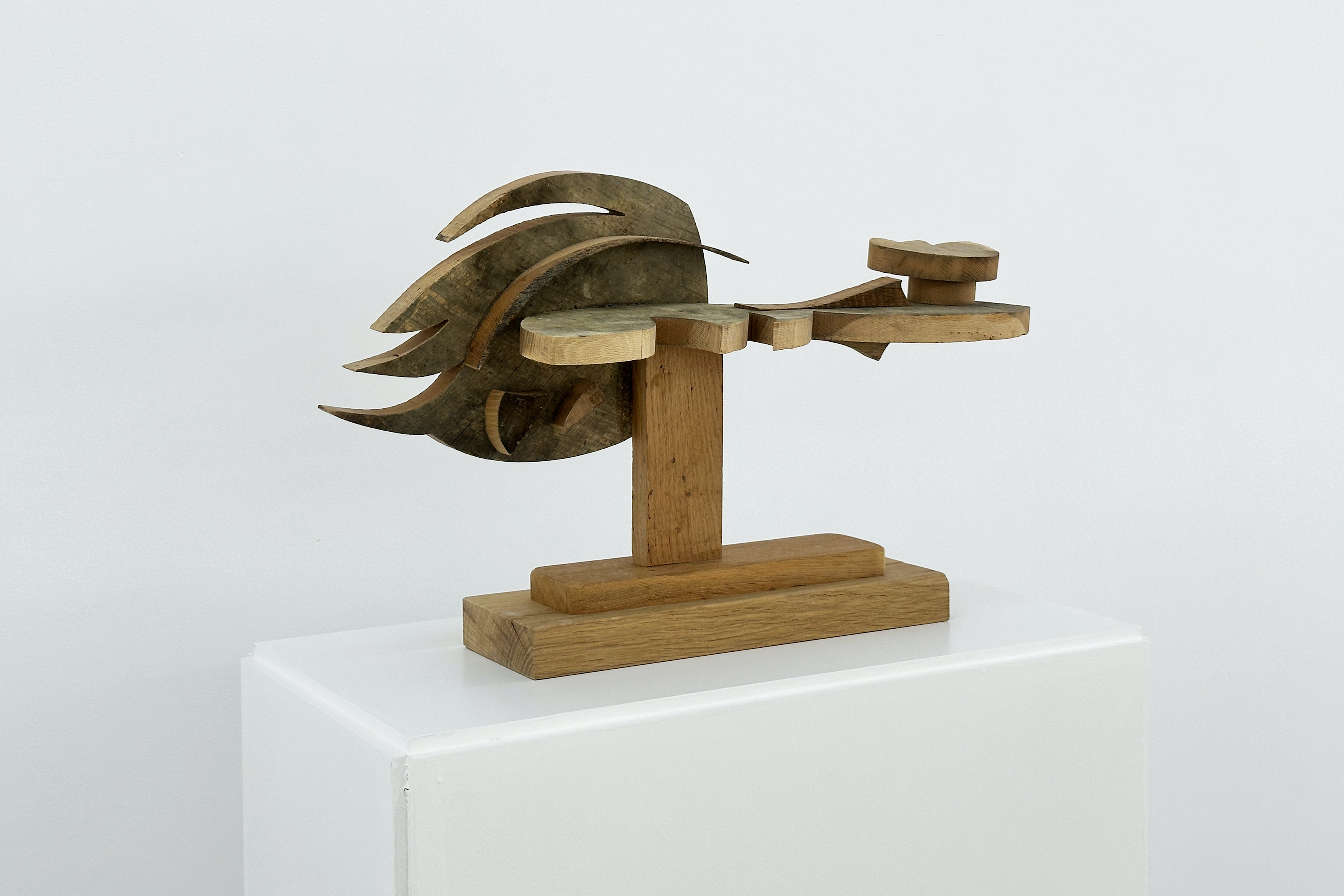 Parra & Romero, exhibition: Blowing in the wind (fig. 28)