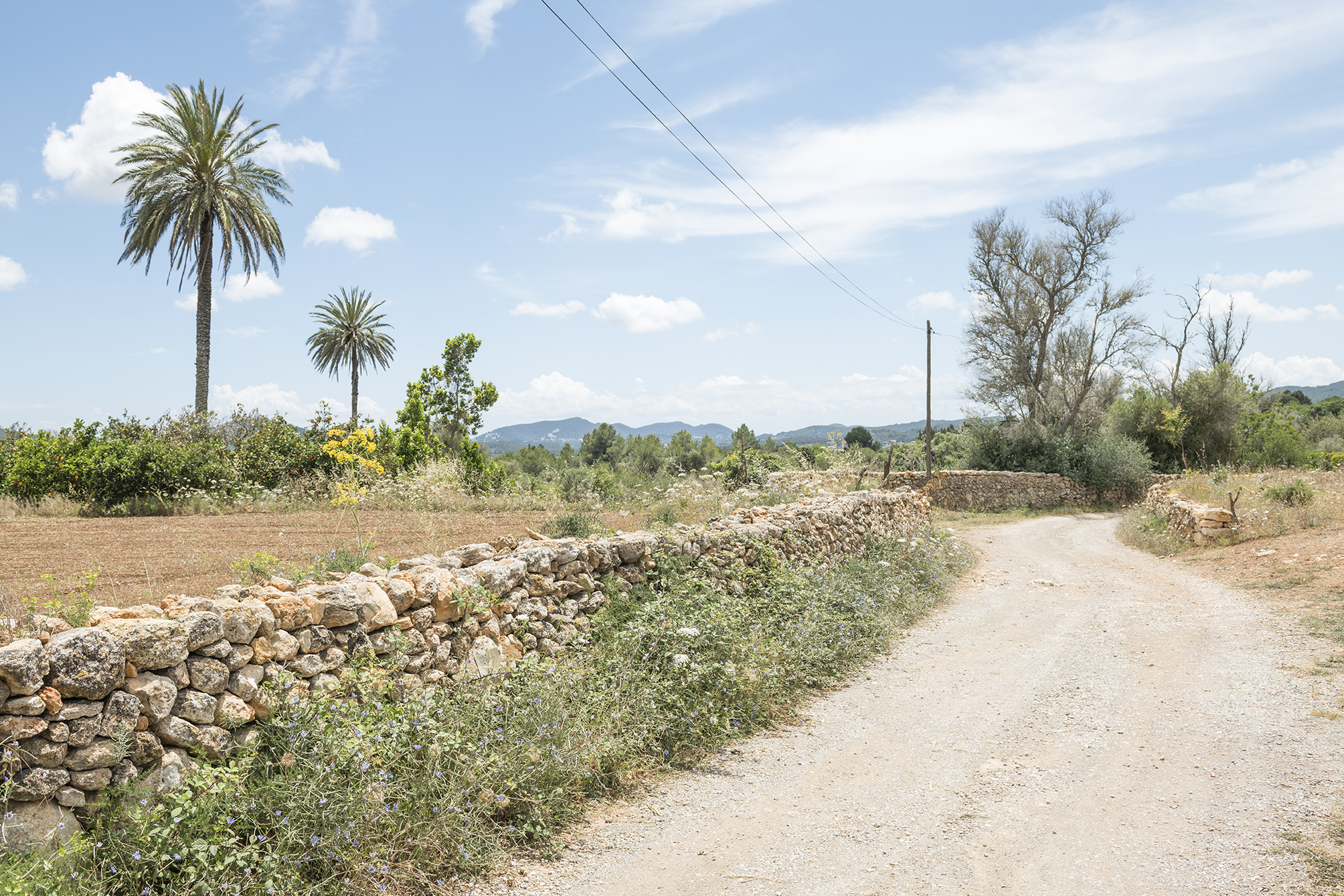 Parra & Romero, exhibition: 38°58’29.65”N 1°26’34.24”E (fig. 7)