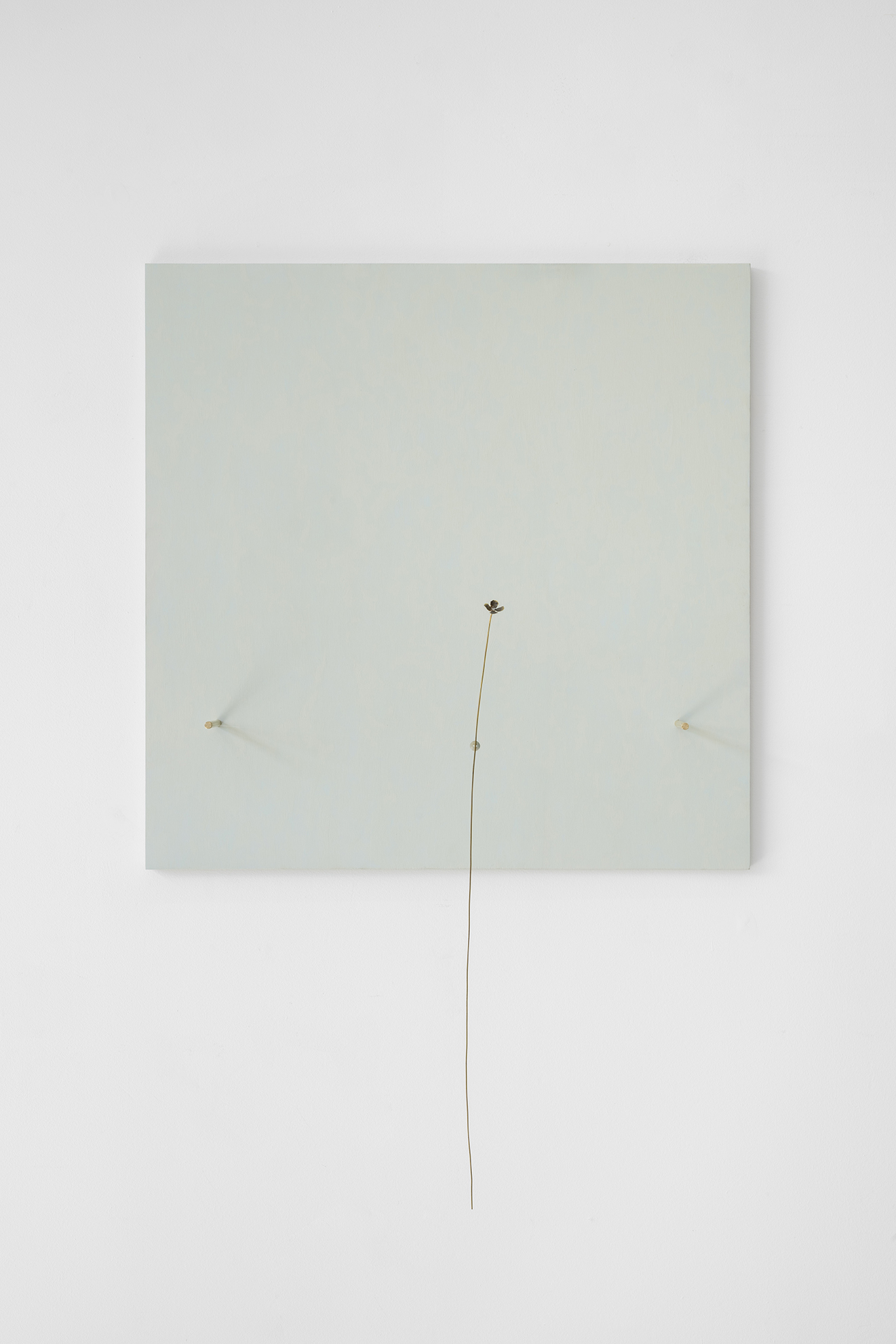 Parra & Romero, exhibition: The Scent of Matter (fig. 5)