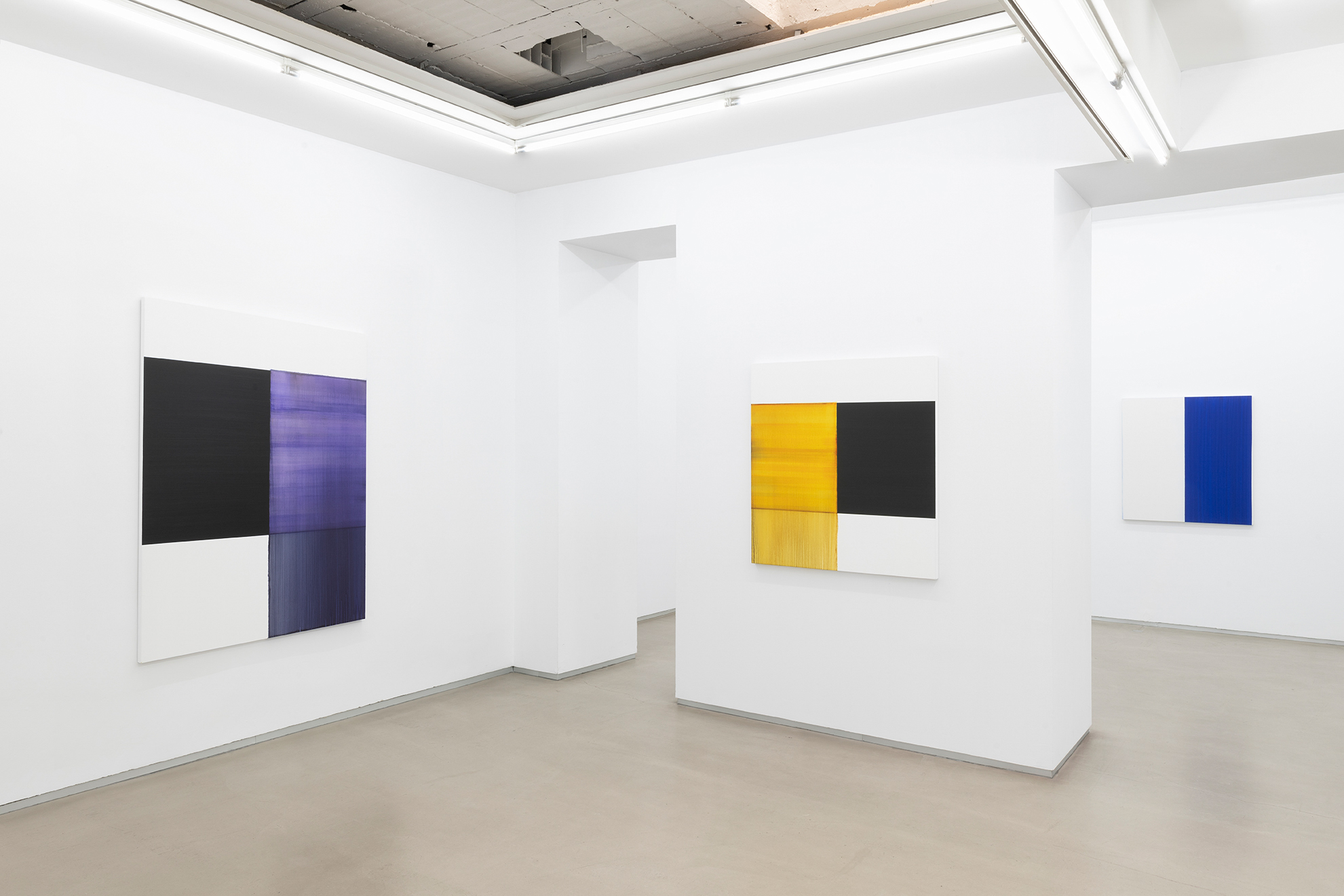 Parra & Romero, exhibition: Callum Innes (fig. 28)