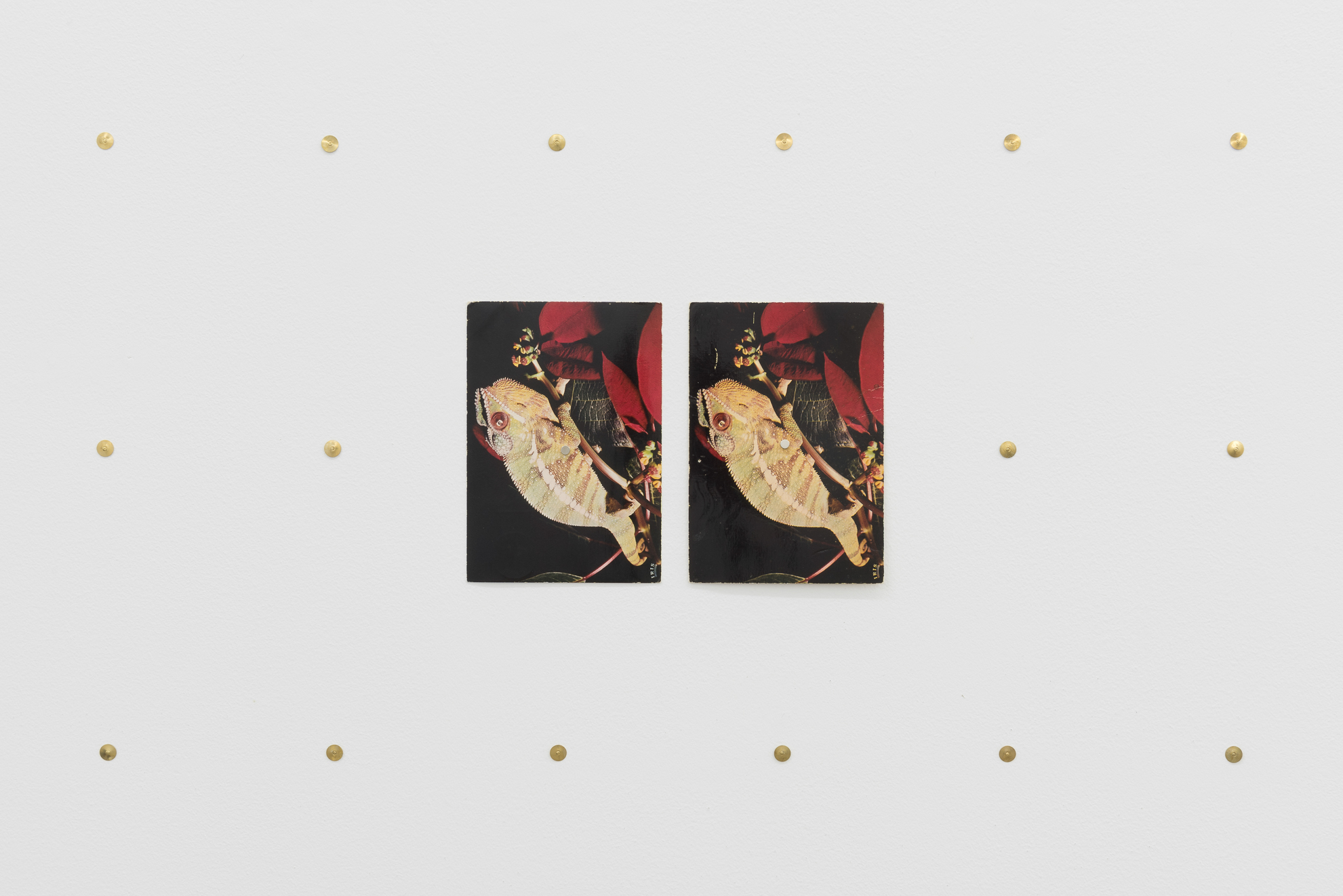 Parra & Romero, exhibition: 42 Días (fig. 39)