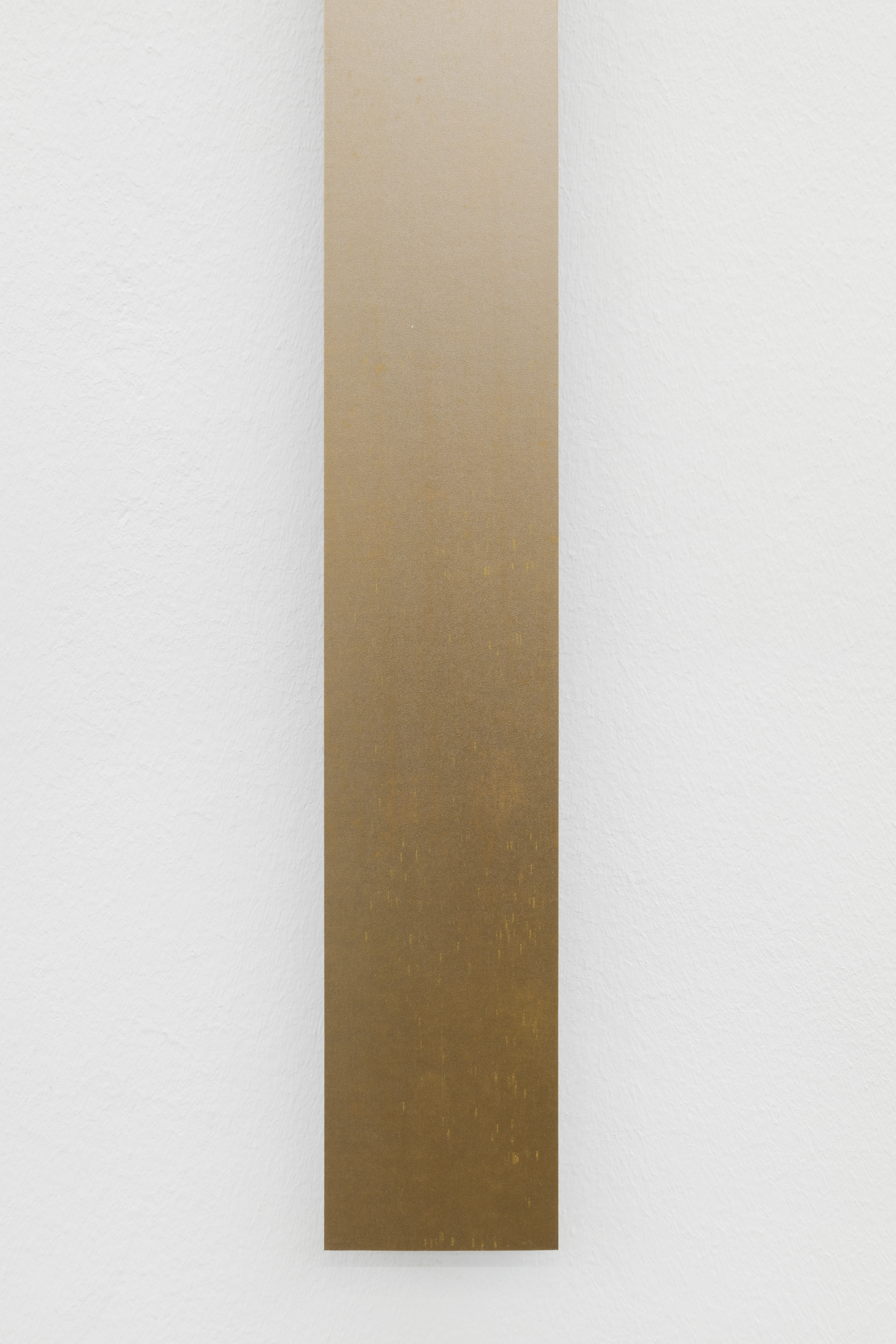 Parra & Romero, exhibition: Liz Deschenes (fig. 31)