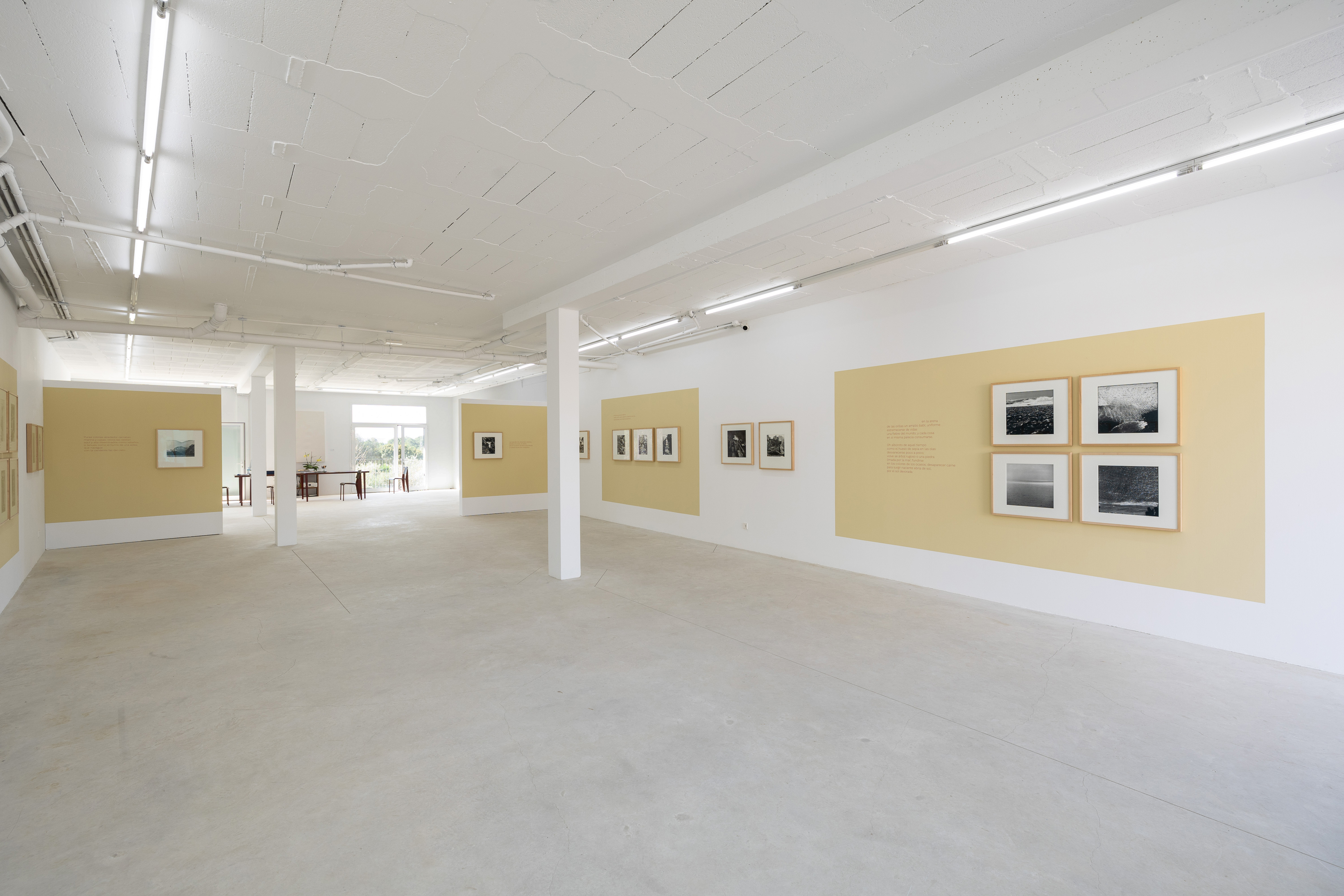 Parra & Romero, exhibition: OSSI DI SEPPIA (fig. 18)