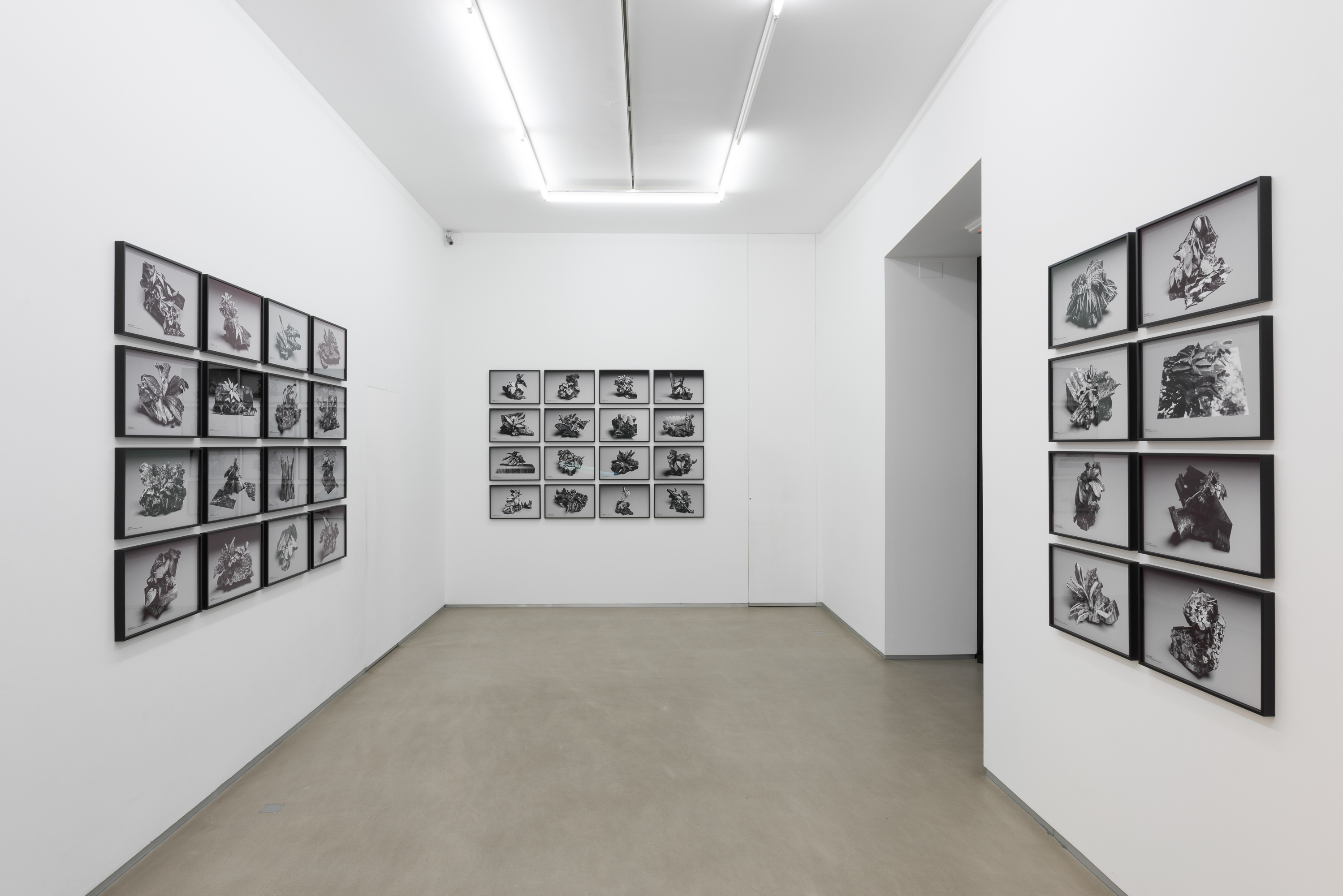 Parra & Romero, exhibition: Unrest (fig. 5)